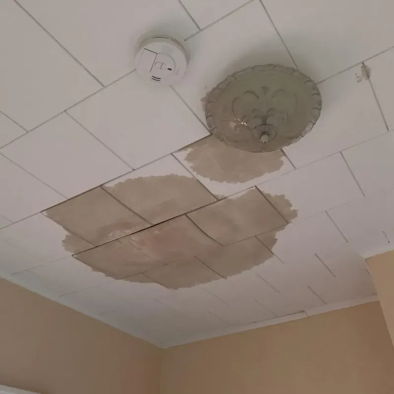 Ceiling Water Damage Repair in McClusky, ND