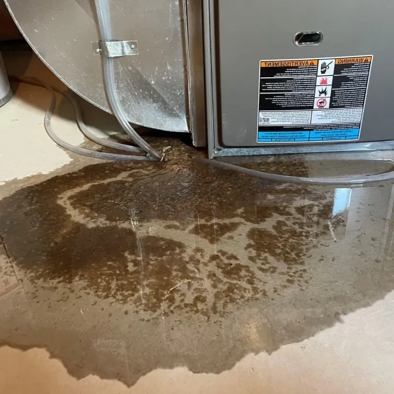 Pipe Burst and Leak Restoration in McClusky, ND