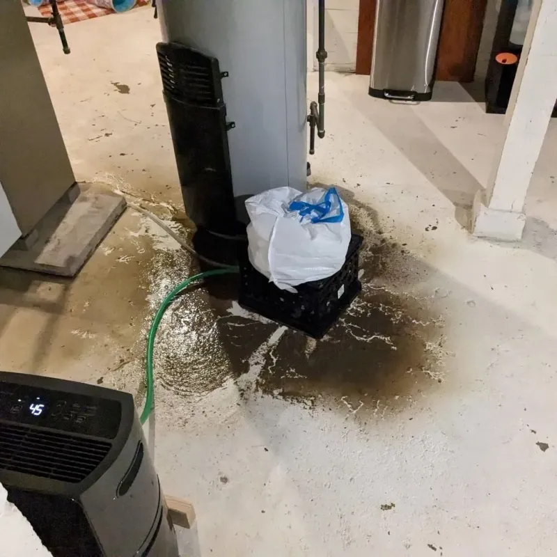 Sewage Backup Cleanup Service in McClusky, ND